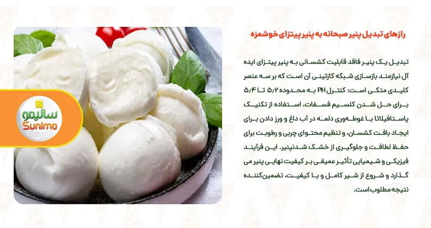 رازهای تبدیل پنیر صبحانه به پنیر پیتزای خوشمزه 