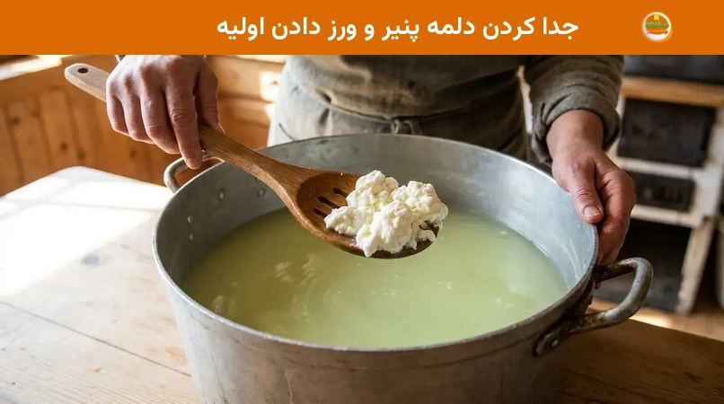 جدا کردن دلمه پنیر و ورز دادن اولیه جدا کردن دلمه پنیر و ورز دادن اولیه