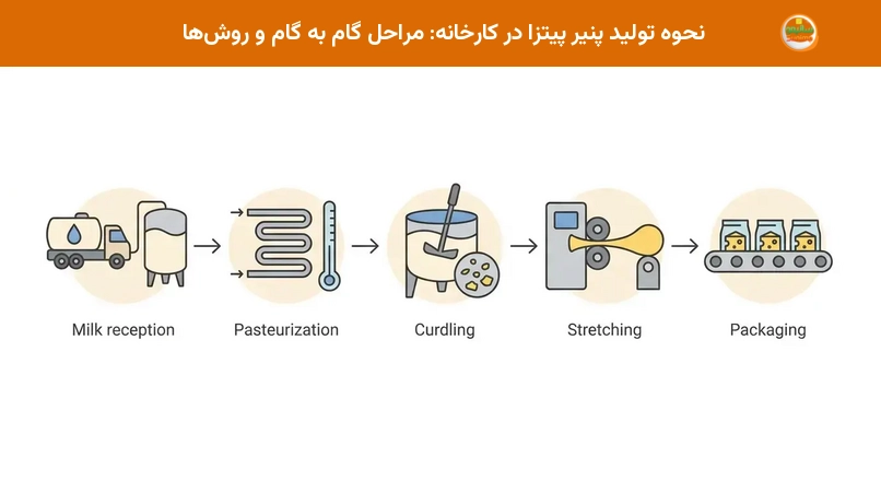 نحوه تولید پنیر پیتزا در کارخانه: مراحل گام به گام و روشها نحوه تولید پنیر پیتزا در کارخانه: مراحل گام به گام و روشها