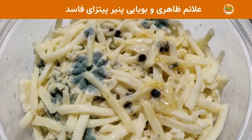 علائم ظاهری و بویایی پنیر پیتزای فاسد