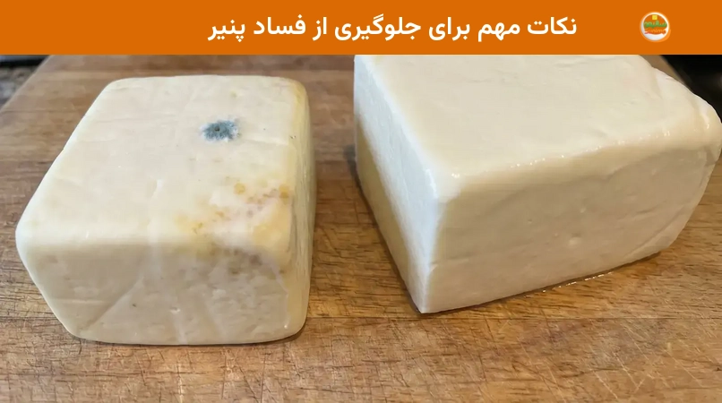 نکات مهم برای جلوگیری از فساد پنیر نکات مهم برای جلوگیری از فساد پنیر