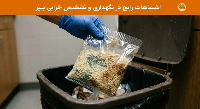 اشتباهات رایج در نگهداری و تشخیص خرابی پنیر اشتباهات رایج در نگهداری و تشخیص خرابی پنیر