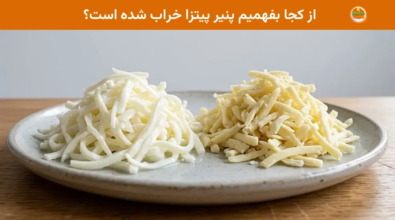 از کجا بفهمیم پنیر پیتزا خراب شده است؟ از کجا بفهمیم پنیر پیتزا خراب شده است؟