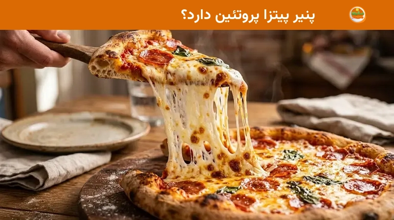پنیر پیتزا پروتئین دارد؟ پنیر پیتزا پروتئین دارد؟