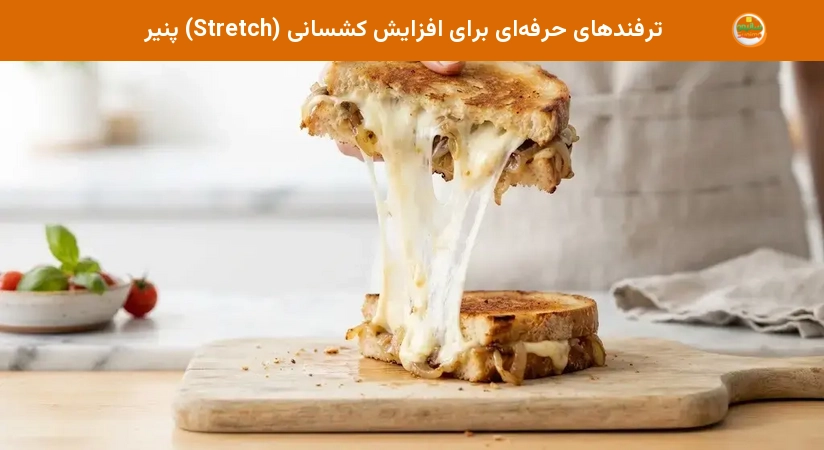 ترفندهای حرفهای برای افزایش کشسانی (Stretch) پنیر ترفندهای حرفهای برای افزایش کشسانی (Stretch) پنیر