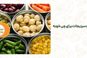 کنسرو سبزیجات برای چی خوبه